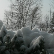 Christmas Snow