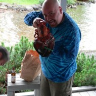 Nice Lobster!