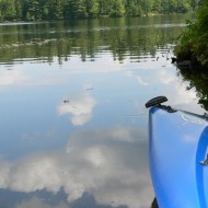 kayak