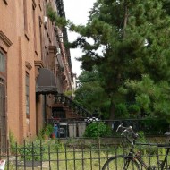 The neighborhood