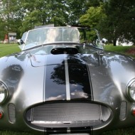 Cobra nose before