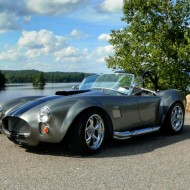 Cobra by the lake