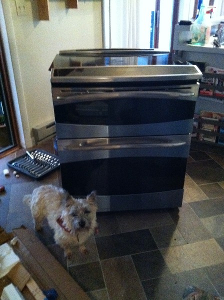 shiney new double oven