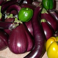 eggplant