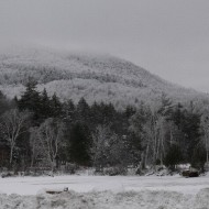 Winter Jan 2011